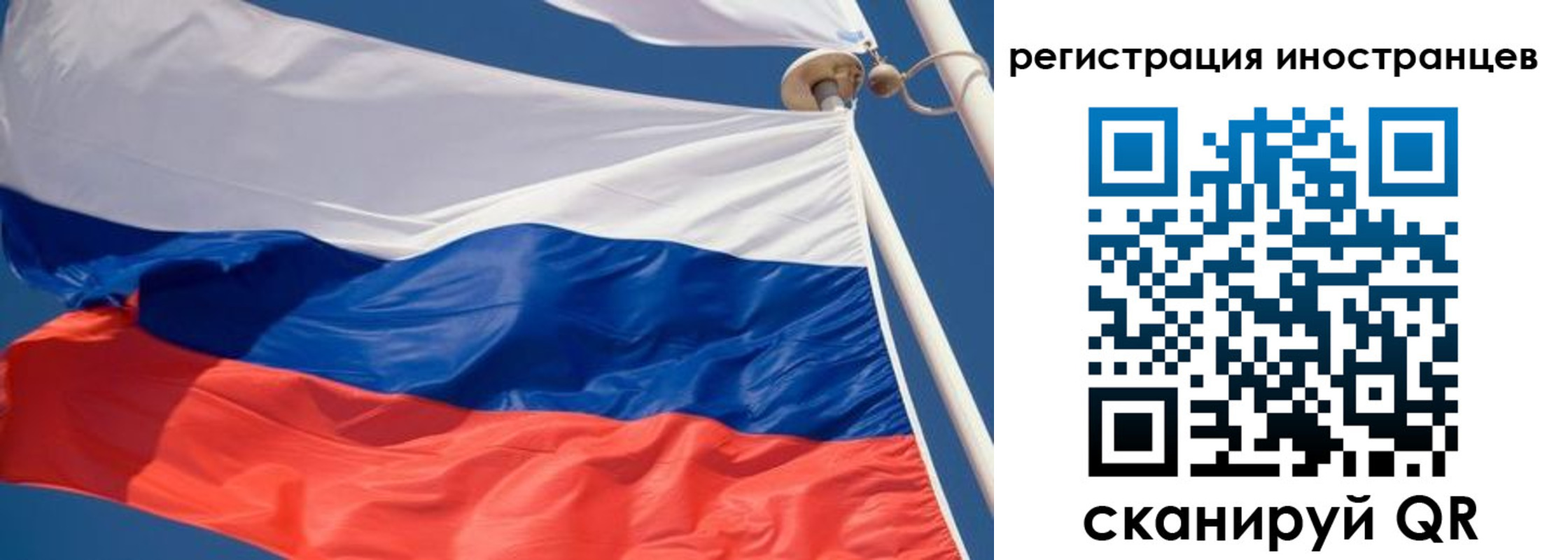 прописка гарантия в Брянске